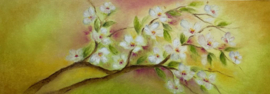 Light wish blossom branch