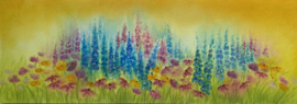 Light wish delphinium