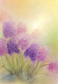 B1021 Hyacinths (NEW)
