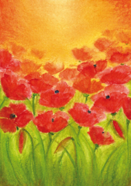 B1007 Poppies