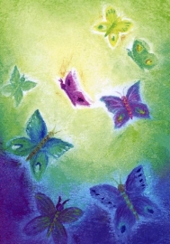 D1010 Butterflies