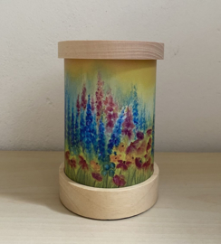 Light wish delphinium