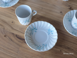 Petrus Regout decor Riva petrol koffieservies 9 personen