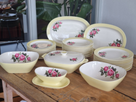 Petrus Regout Amore pastel Geel met Bloem compleet Eetservies min. 11-pers.