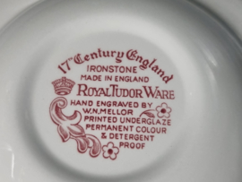 Engels rood 17th Century England Royal Tudor Ware Staffordshire Diep Pasta Curry Bord 22,5 cm