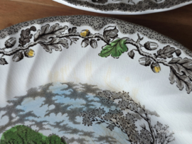 Engels bruin ingekleurd Jachtservies Myott's Country Life set 6x plat dinerbord 25 cm (met verkleuring)