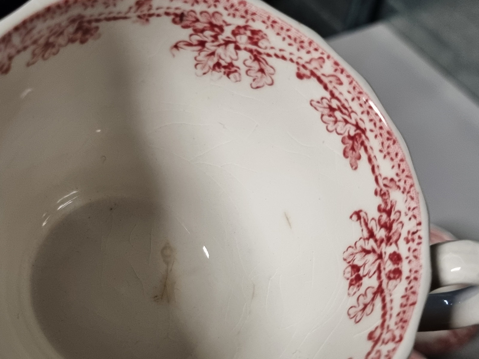 Engels rood Jachtservies Myott's Country Life set 10x Kop en schotel (B-keus!)