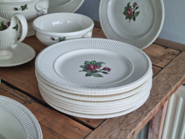 Wedgwood Moss Rose compleet Eetservies 8-pers.