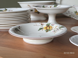 Petrus Regout Herfst compleet eetservies 11 personen