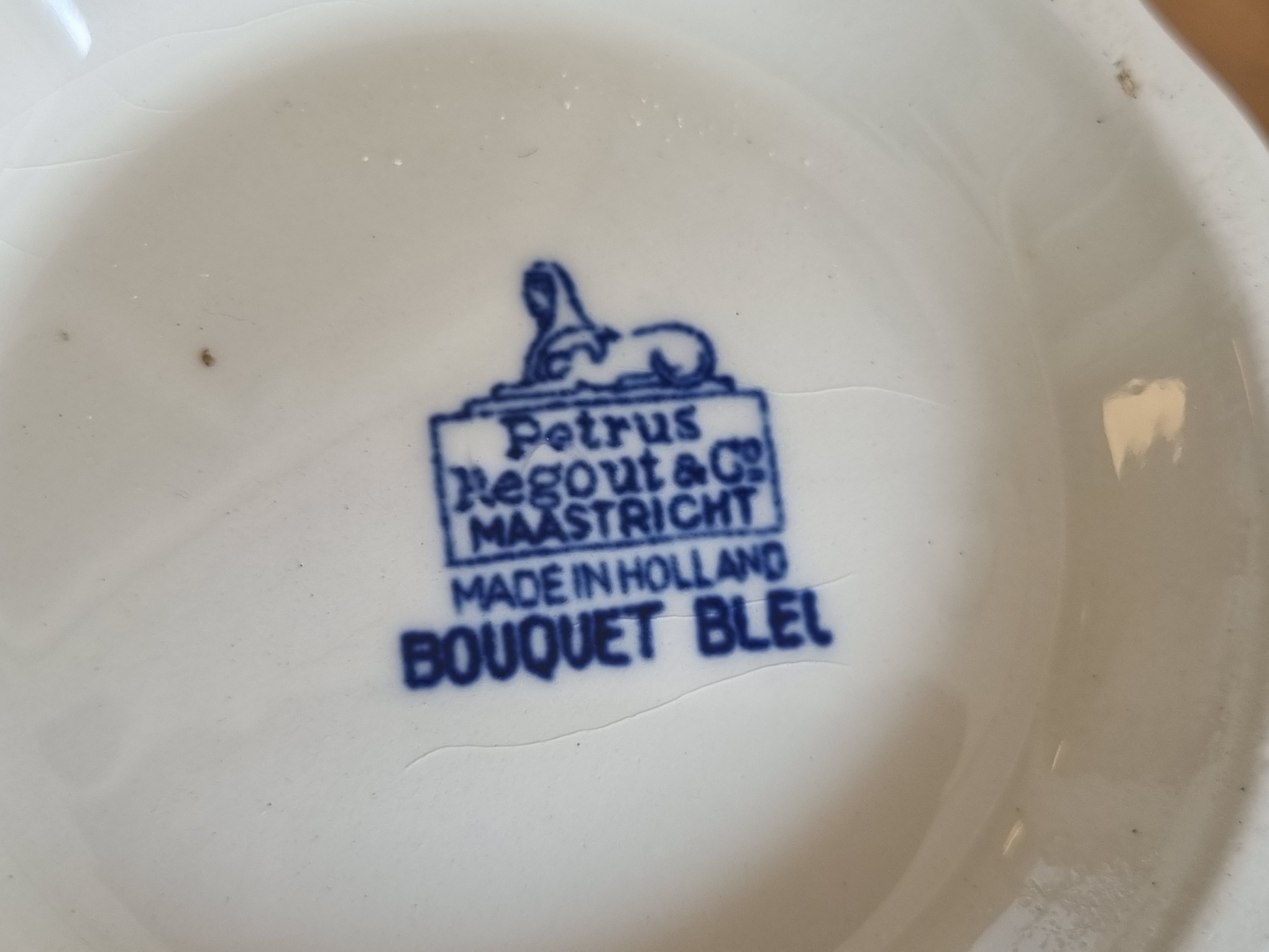 Petrus Regout Bouquet Bleu theepot