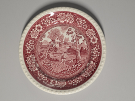 Villeroy en Boch Rusticana dinerbord 26 cm