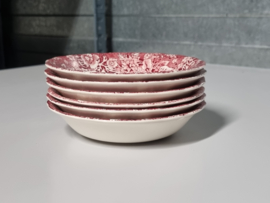 Engels rood Palissy River Scenes set 6x rond schaaltje 13 cm