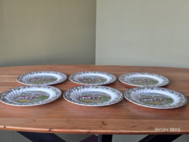 Engels bruin ingekleurd Jachtservies Myott's Country Life set 6x plat dinerbord 25 cm (met verkleuring)