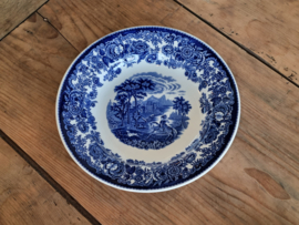Regout blauw decor Amazone diep pasta curry bord 23,5 cm