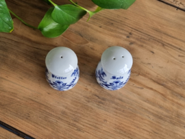 Zwiebelmuster onbekend merk Peper- en Zoutstel
