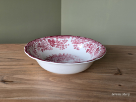 Engels rood Palissy Avon Scenes hoge ronde schaal 24,5 cm