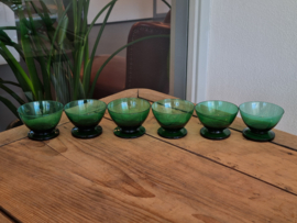 Max Verboeket Maastricht Carnaval K1 Set 6x Vruchtencoupe donker groen