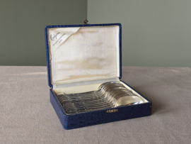 Set 12x Dessert Lepel Tilquin