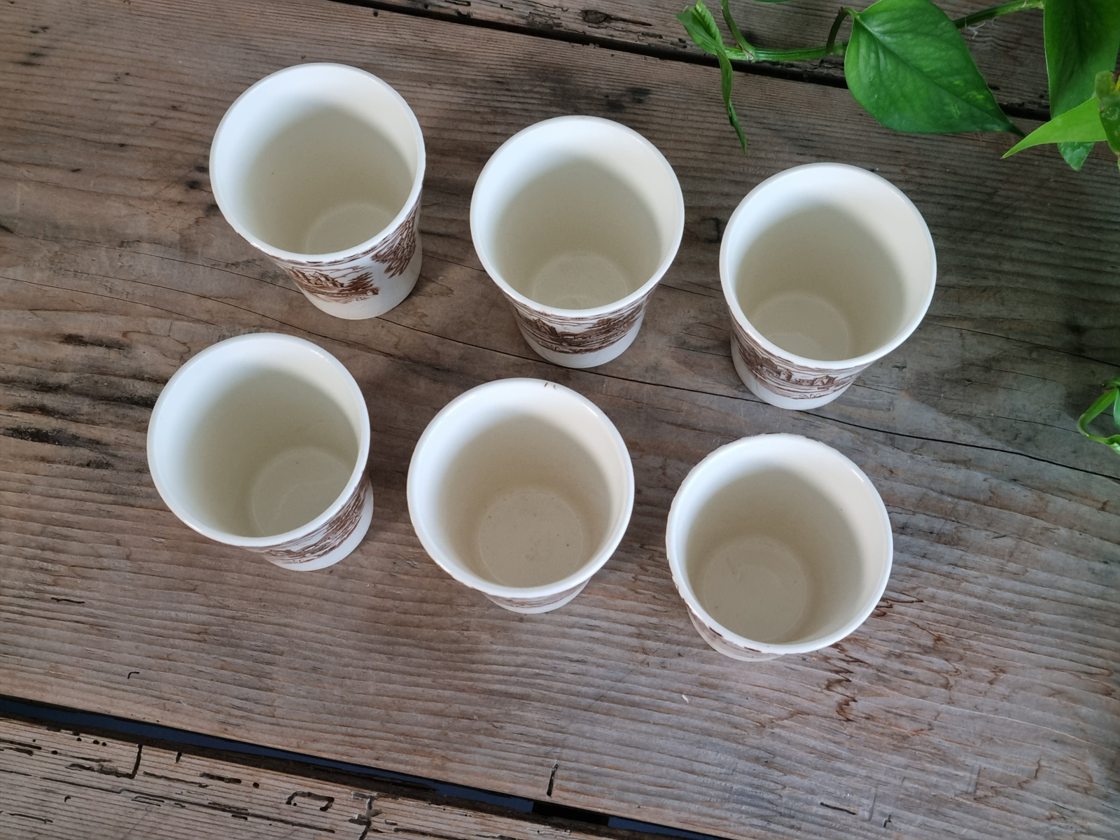 Regout decor British Castles bruin set 6x Beker