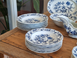 Blue Danube compleet diner serviesset 6 personen