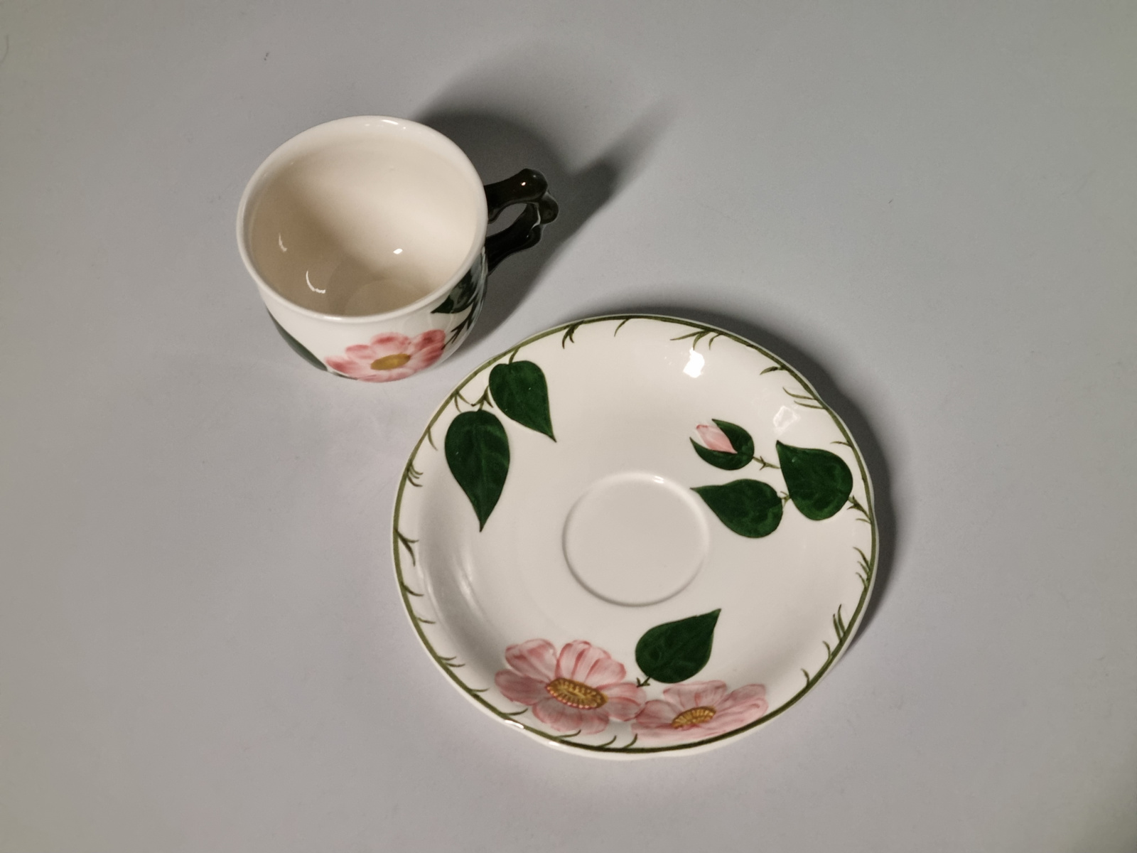 Villeroy en Boch Wild Rose Kop en schotel
