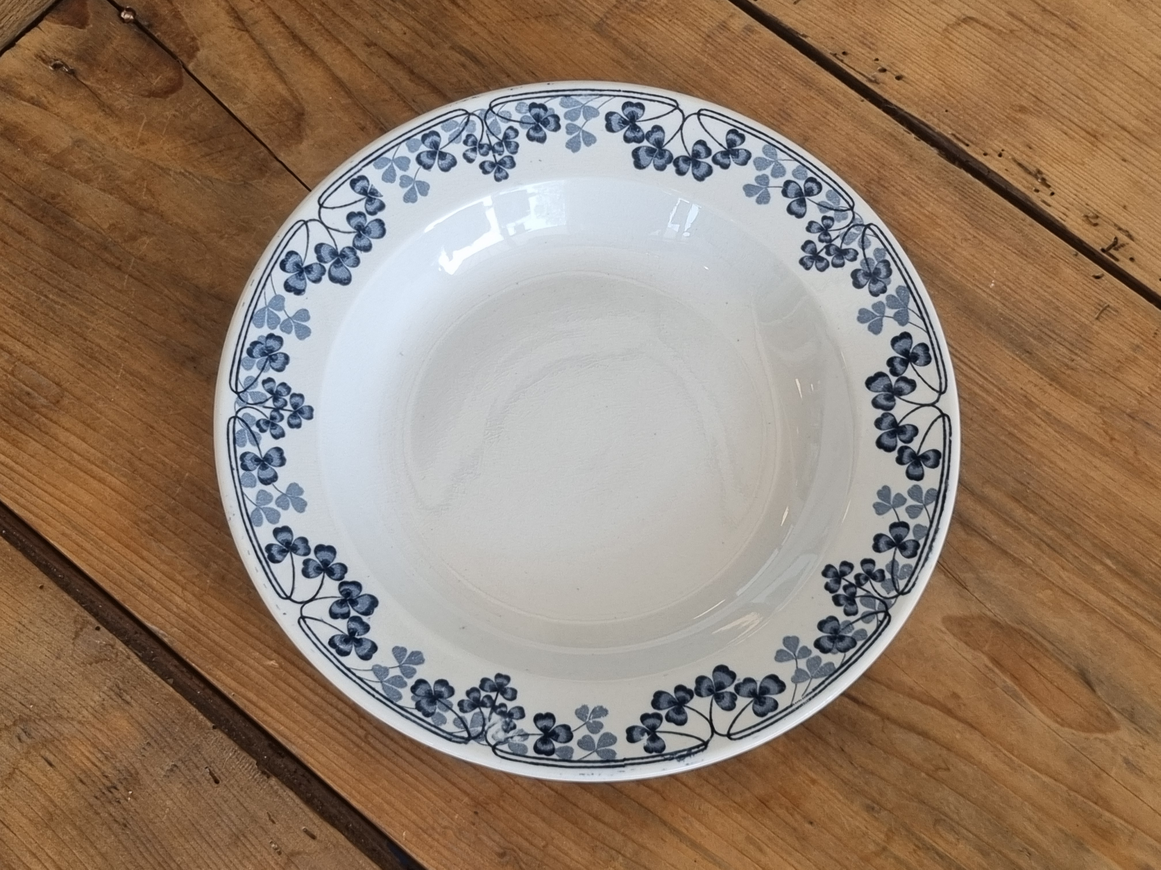 Sarreguemines Vichy diep pasta curry bord 24 cm