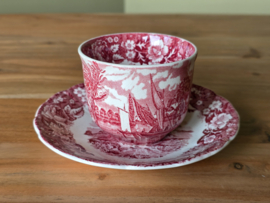 Engels rood Palissy Thames River Scenes Kop en schotel