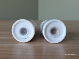 Villeroy en Boch Artemis peper- en zoutstel