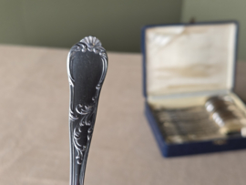 Set 12x Dessert Lepel Tilquin