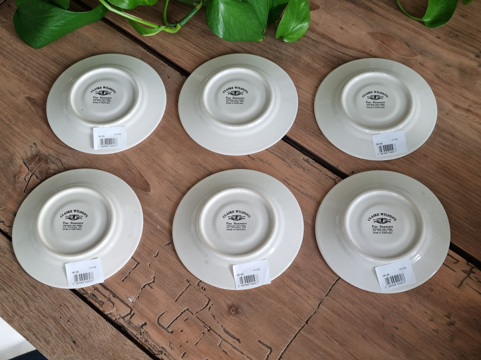 Claire Wilson’s Set 6x Espresso Kop en Schotel Nieuw