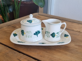Royal Boch Aquarelle Roomstel op plateau