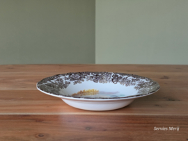 Engels Palissy Game Series diep bord 22,5 cm (afb. eend)
