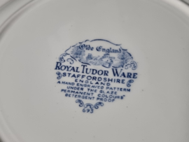 Engels blauw Royal Tudor Ware plat dinerbord 25 cm