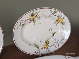 Petrus Regout Herfst compleet eetservies 11 personen