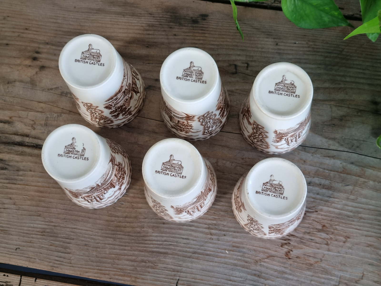 Regout decor British Castles bruin set 6x Beker
