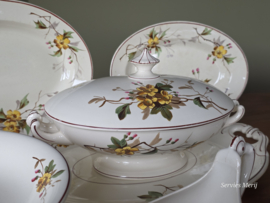 Petrus Regout Herfst compleet eetservies 11 personen
