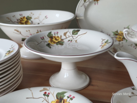 Petrus Regout Herfst compleet eetservies 11 personen