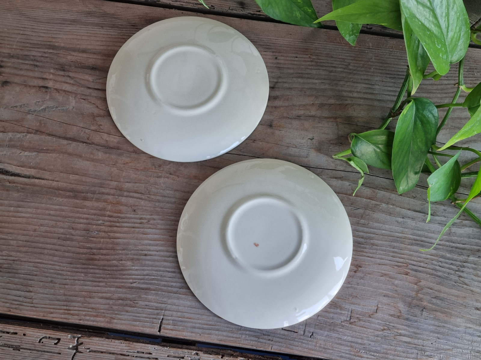 Regout creme Boudewijn Pioenroos set 2x losse Schotel 15,5 cm