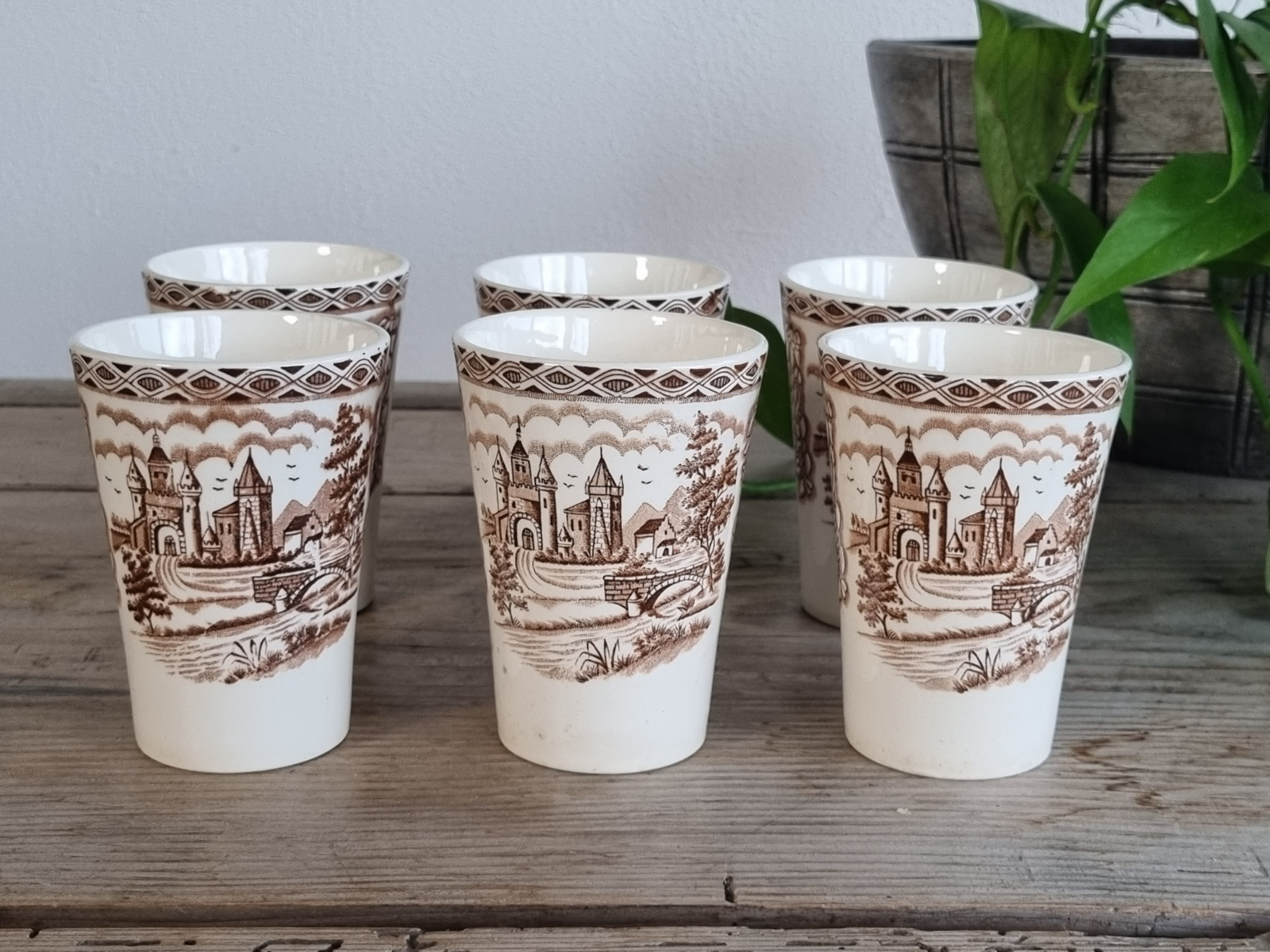 Regout decor British Castles bruin set 6x Beker