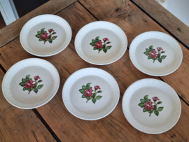 Wedgwood Moss Rose set 6x bordje met opstaande rand 15,5 cm