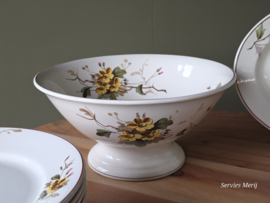 Petrus Regout Herfst compleet eetservies 11 personen