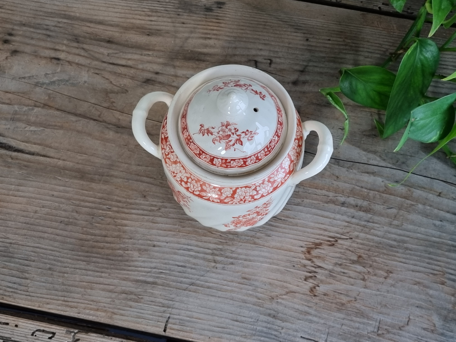 Regout decor Flower rood Suikerpot (creme)