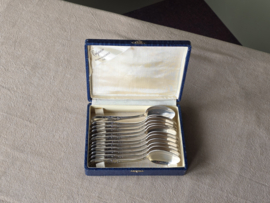 Set 12x Dessert Lepel Tilquin