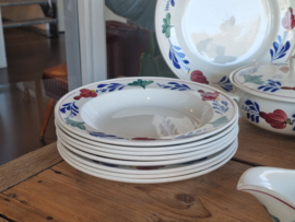 Boerenbont Boch compleet eetservies 8 persoons 22 delen