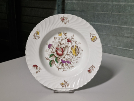 Engels gekleurd Bouquet Burleigh Ware Diep Bord 23 cm