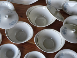 Societe Ceramique Waterland compleet eetservies 10 personen