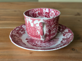 Engels rood Palissy Thames River Scenes Kop en schotel