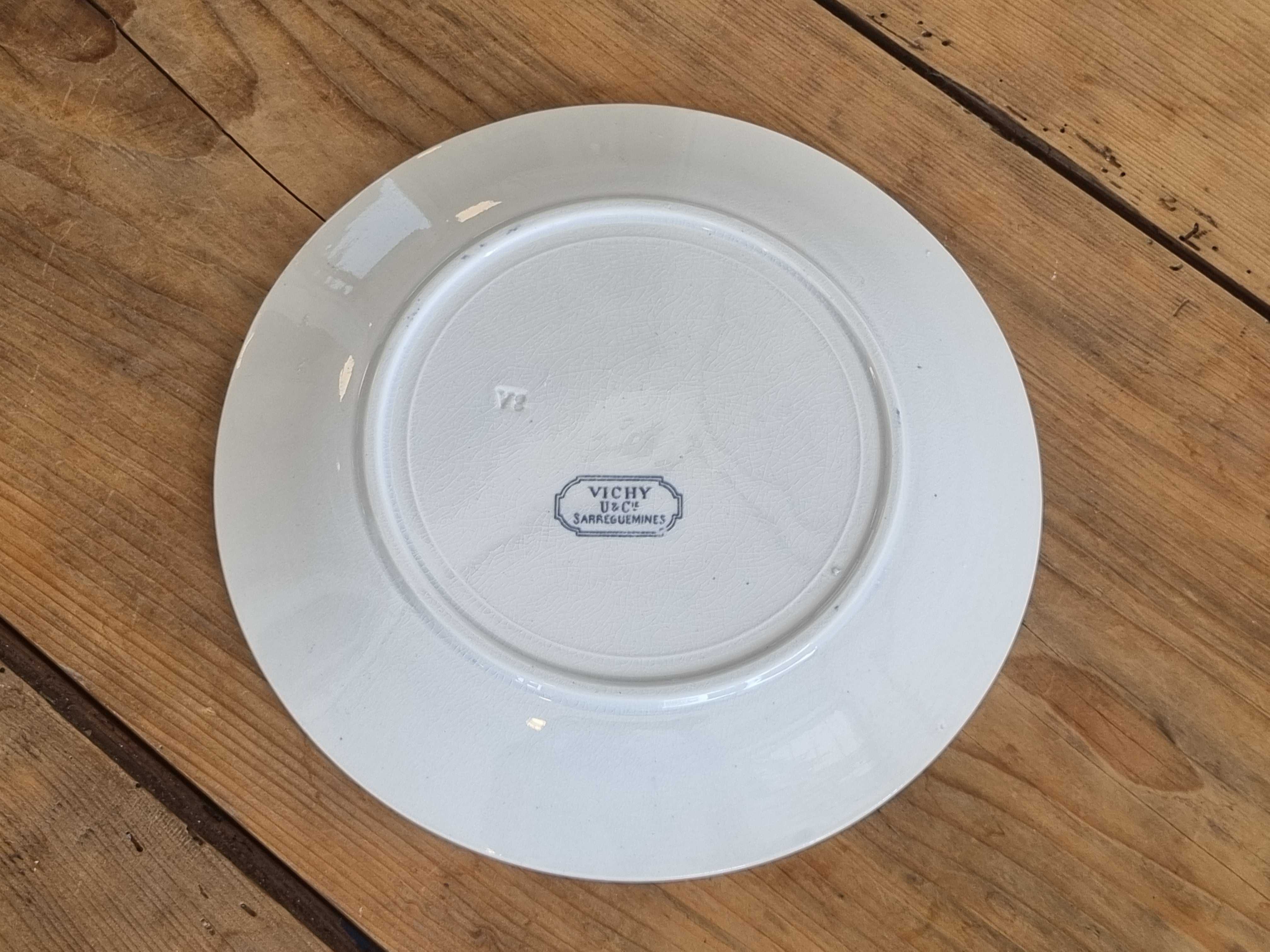 Sarreguemines Vichy plat dinerbord 24 cm