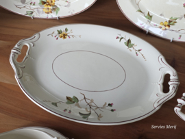 Petrus Regout Herfst compleet eetservies 11 personen