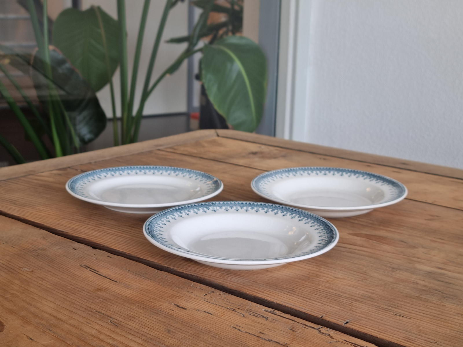 Petrus Regout decor Bordure groen set van 3x Bordje 16 cm